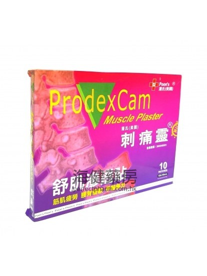 刺痛灵舒肌渗透贴 ProdexCam Muscle Plaster 10Patches 