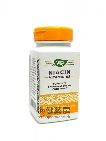 烟酸 Niacin vitamin B3 100mg 100capsules 