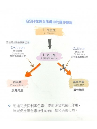 美白淡斑片 Oxithion 100mg 30 Sublingual Tablets 